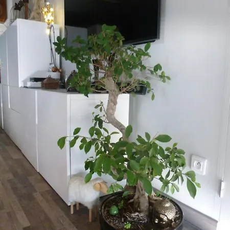 1 Chambre, 1 P'tit Dej', 1 Sourire Отель типа 