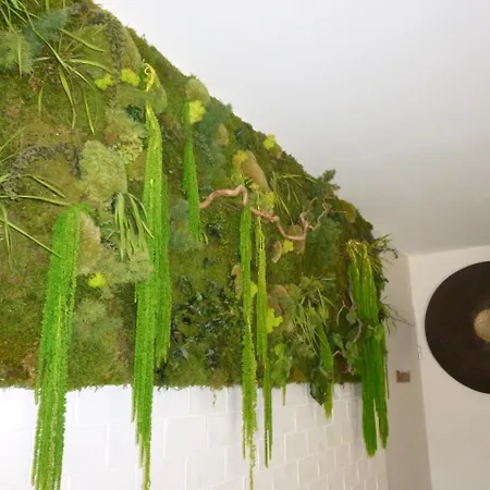 1 Chambre, 1 P'tit Dej', 1 Sourire Отель типа 